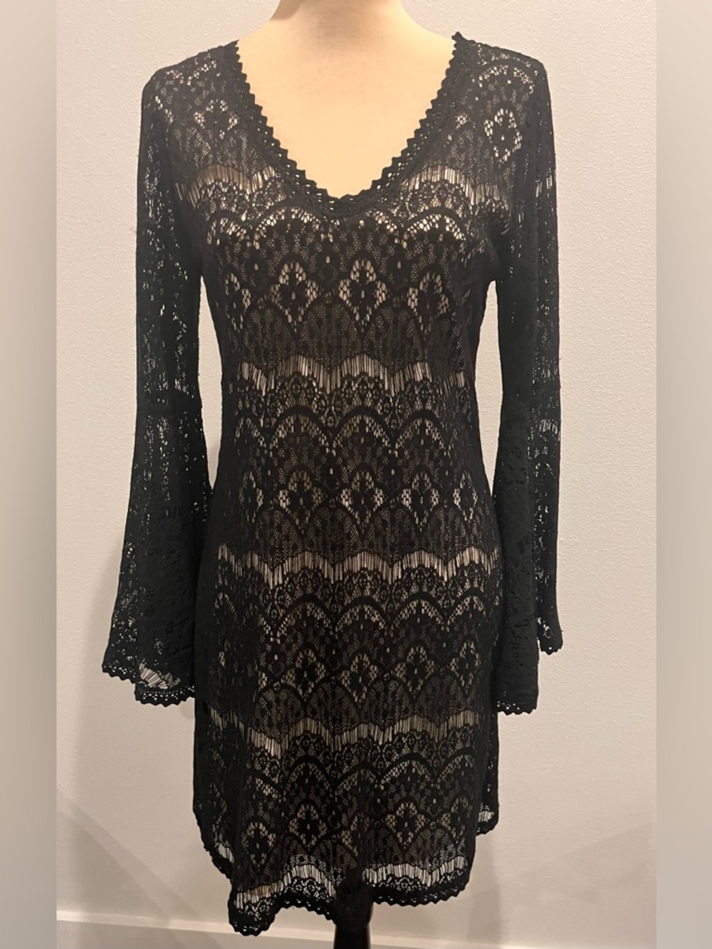 Black Lace Scalloped V-Neck Long Sleeve Dress with Bell Sleeves - Whimsygoth